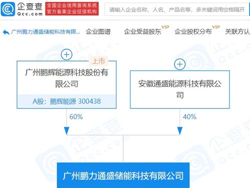 鵬輝能源參股成立儲能科技新公司，注冊資本達(dá)1億元，拓展信息系統(tǒng)集成服務(wù)