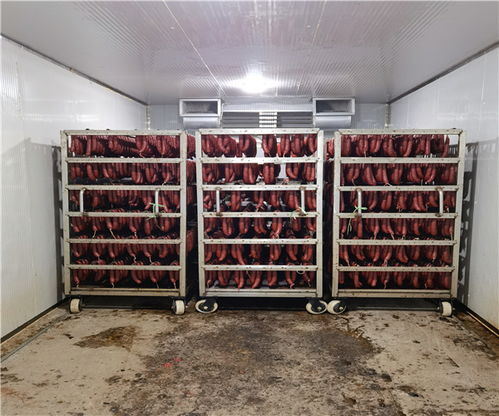 上海枸杞干燥機銷售商與木耳干燥機規(guī)格技術(shù)咨詢指南